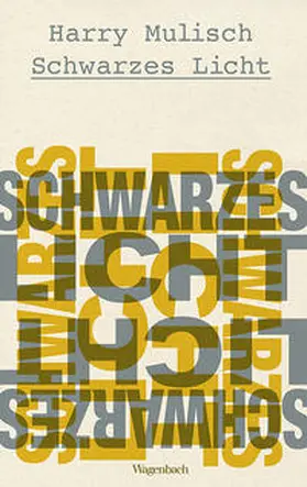 Mulisch |  Schwarzes Licht | Buch |  Sack Fachmedien