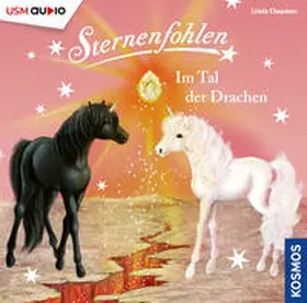 Chapman / Setsman |  Sternenfohlen 30: Im Tal der Drachen | Sonstiges |  Sack Fachmedien