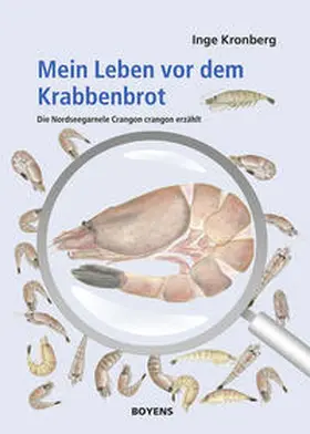 Kronberg |  Mein Leben vor dem Krabbenbrot | Buch |  Sack Fachmedien