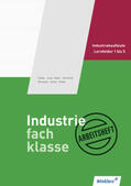 Deitermann / Flader / Hassenjürgen |  Industriefachklasse 1 Arb. LF 1-5 (Deitermann) | Buch |  Sack Fachmedien