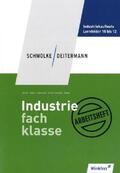 Deitermann / Flader / Hassenjürgen |  Industriefachklasse | Buch |  Sack Fachmedien