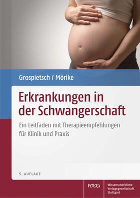 Grospietsch / Mörike | Erkrankungen in der Schwangerschaft | Buch | 978-3-8047-2569-0 | sack.de