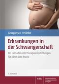 Grospietsch / Mörike |  Erkrankungen in der Schwangerschaft | Buch |  Sack Fachmedien