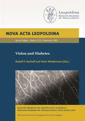 Guthoff / Wiedemann |  Vision and Diabetes | Buch |  Sack Fachmedien
