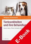 Daubenmerkl |  Tierkrankheiten und ihre Behandlung | eBook | Sack Fachmedien