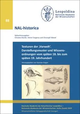 Kasper / Deutsche Akademie der Naturforscher |  Texturen der 'Vorwelt' | Buch |  Sack Fachmedien