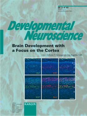 Campagnoni | Brain Development with a Focus on the Cortex | Buch | 978-3-8055-7611-6 | sack.de
