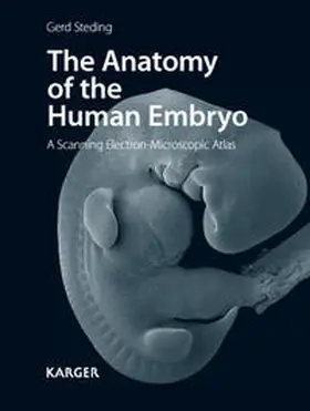 Steding |  The Anatomy of the Human Embryo | Buch |  Sack Fachmedien