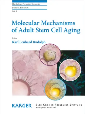 Rudolph |  Molecular Mechanisms of Adult Stem Cell Aging | Buch |  Sack Fachmedien