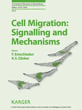 Entschladen / Zänker |  Cell Migration: Signalling and Mechanisms | eBook | Sack Fachmedien