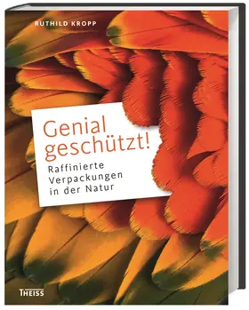 Drewing / Buttero / Röpke |  Genial geschützt! | Buch |  Sack Fachmedien
