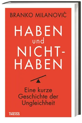 Milanovic |  Haben und Nichthaben | Buch |  Sack Fachmedien