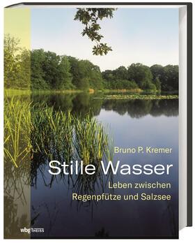 Kremer | Kremer, B: Stille Wasser | Buch | 978-3-8062-3897-6 | sack.de