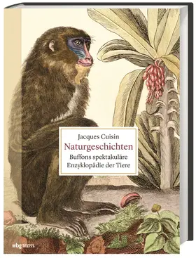 Cuisin |  Naturgeschichten | Buch |  Sack Fachmedien