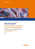 Lange / Lüdecke |  Überprüfung volljährig werdende Kinder 2017 | Buch |  Sack Fachmedien