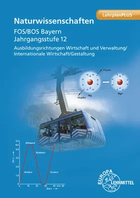 Dillinger / Hensel / Koch |  Naturwissenschaften FOS/BOS Bayern | Buch |  Sack Fachmedien