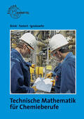 Brink / Fastert / Ignatowitz |  Technische Mathematik für Chemieberufe 1 | Buch |  Sack Fachmedien