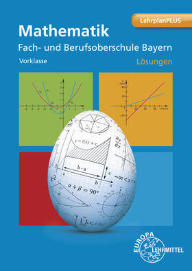 Dillinger / Schittenhelm | Lösungen zu 87621: Mathematik Fach- und Berufsoberschule Bayern - Vorklasse | Buch | 978-3-8085-8763-8 | sack.de