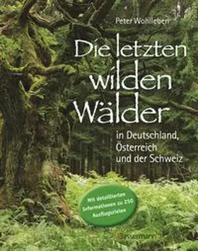 Wohlleben |  Wilde Wälder | Buch |  Sack Fachmedien