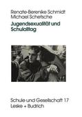 Schmidt / Schetsche |  Schetsche, M: Jugendsexualität und Schulalltag | Buch |  Sack Fachmedien
