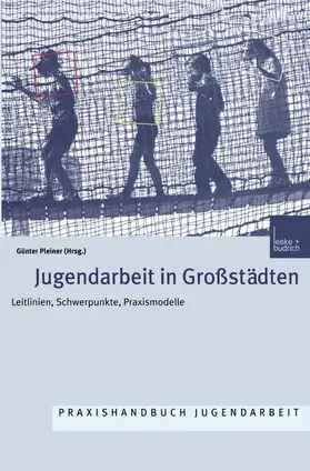 Pleiner | Jugendarbeit in Großstädten | Buch | 978-3-8100-3067-2 | www.sack.de