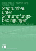 Kabisch / Peter / Bernt |  Stadtumbau unter Schrumpfungsbedingungen | Buch |  Sack Fachmedien