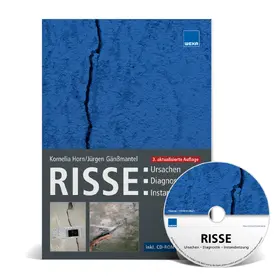 Kornelia Horn / Jürgen  Gänßmantel |  Risse | Buch |  Sack Fachmedien