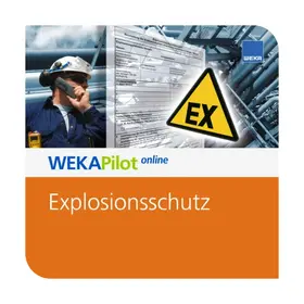 Morlet / Marc Wittenstein |  Explosionsschutz – Grundlagen, Maßnahmen, Dokumentation | Datenbank |  Sack Fachmedien