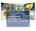 Meyer-Falcke / Leßwing |  Arbeitsschutz - Sicherheit und Gesundheit im Betrieb - DVD | Sonstiges |  Sack Fachmedien
