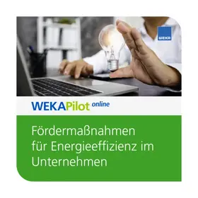 Timo Hohmuth, LL.M. / Dennis Schlender |  Fördermaßnahmen für Energieeffizienz im Unternehmen | Datenbank |  Sack Fachmedien