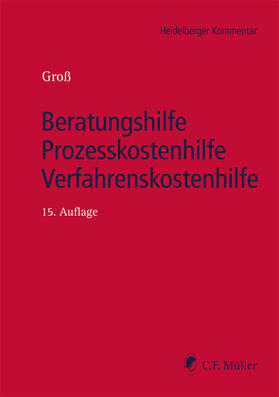 Groß | Beratungshilfe - Prozesskostenhilfe - Verfahrenskostenhilfe | Buch | 978-3-8114-0646-9 | sack.de