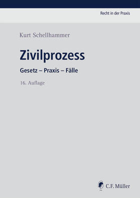Schellhammer | Zivilprozess | Buch | 978-3-8114-0727-5 | sack.de