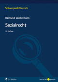 Waltermann |  Sozialrecht | Buch |  Sack Fachmedien
