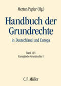 Merten / Bernhardt / Papier |  Handbuch der Grundrechte in Deutschland und Europa VI/1 | Buch |  Sack Fachmedien