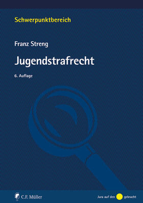 Streng | Jugendstrafrecht | Buch | 978-3-8114-6165-9 | sack.de