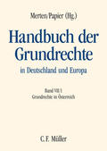 Baumgartner / Hauer / Holoubek |  Handbuch der Grundrechte in Deutschland und Europa | Buch |  Sack Fachmedien