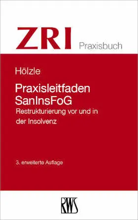 Hölzle |  Praxisleitfaden SanInsFoG | eBook | Sack Fachmedien
