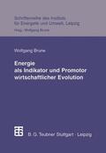  Energie als Indikator und Promotor wirtschaftlicher Evolutio | Buch |  Sack Fachmedien
