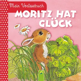 Pabst |  Moritz hat Glück | eBook | Sack Fachmedien