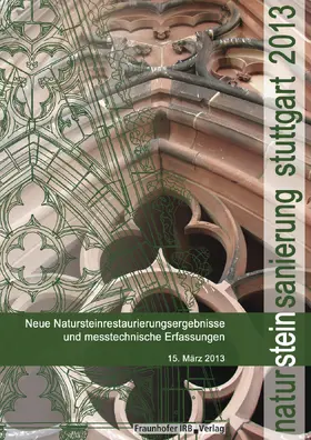 Patitz / Grassegger / Wölbert |  Natursteinsanierung Stuttgart 2013 | eBook | Sack Fachmedien