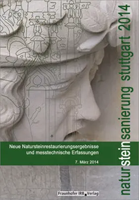 Patitz / Grassegger / Wölbert |  Natursteinsanierung Stuttgart 2014 | Buch |  Sack Fachmedien