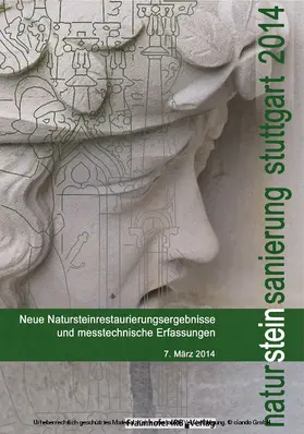 Patitz / Grassegger / Wölbert |  Natursteinsanierung Stuttgart 2014 | eBook | Sack Fachmedien