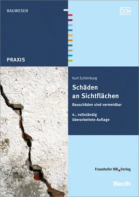 Schönburg |  Schäden an Sichtflächen | Buch |  Sack Fachmedien