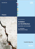 Schönburg |  Schönburg, K: Schäden an Sichtflächen. | Buch |  Sack Fachmedien