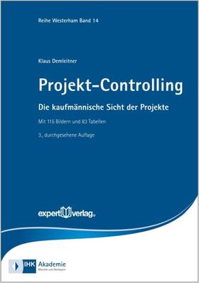 Demleitner | Projekt-Controlling | Buch | 978-3-8169-3185-0 | sack.de