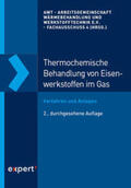 Gräfen |  Thermochemische Behandlung von Eisenwerkstoffen im Gas | Buch |  Sack Fachmedien