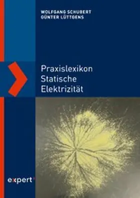 Schubert / Lüttgens | Praxislexikon statische Elektrizität | E-Book | www.sack.de
