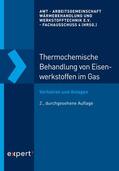  Thermochemische Behandlung von Eisenwerkstoffen im Gas | eBook | Sack Fachmedien