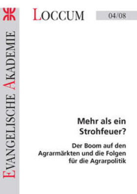 Lange | Mehr als ein Strohfeuer? | Buch | 978-3-8172-0408-3 | sack.de