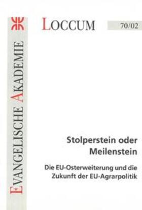 Lange | Stolperstein oder Meilenstein | Buch | 978-3-8172-7002-6 | sack.de